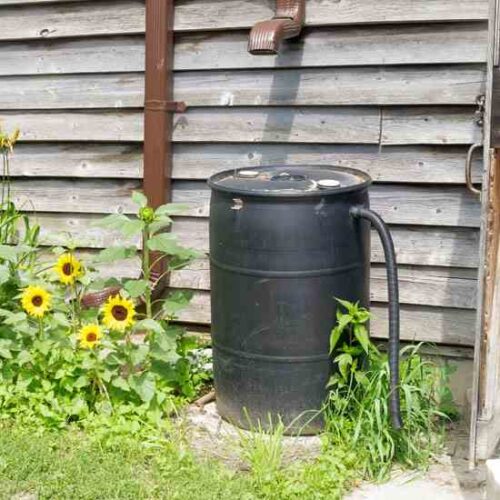 6 Methods for Harvesting Rainwater